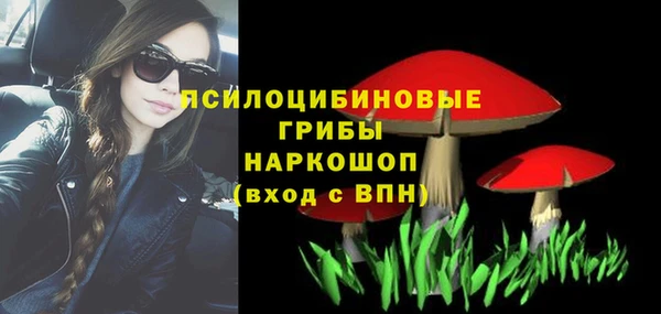 герыч Алексин