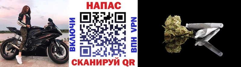 МАРИХУАНА план Лихославль